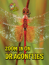 Cover image for Zoom In on Dragonflies